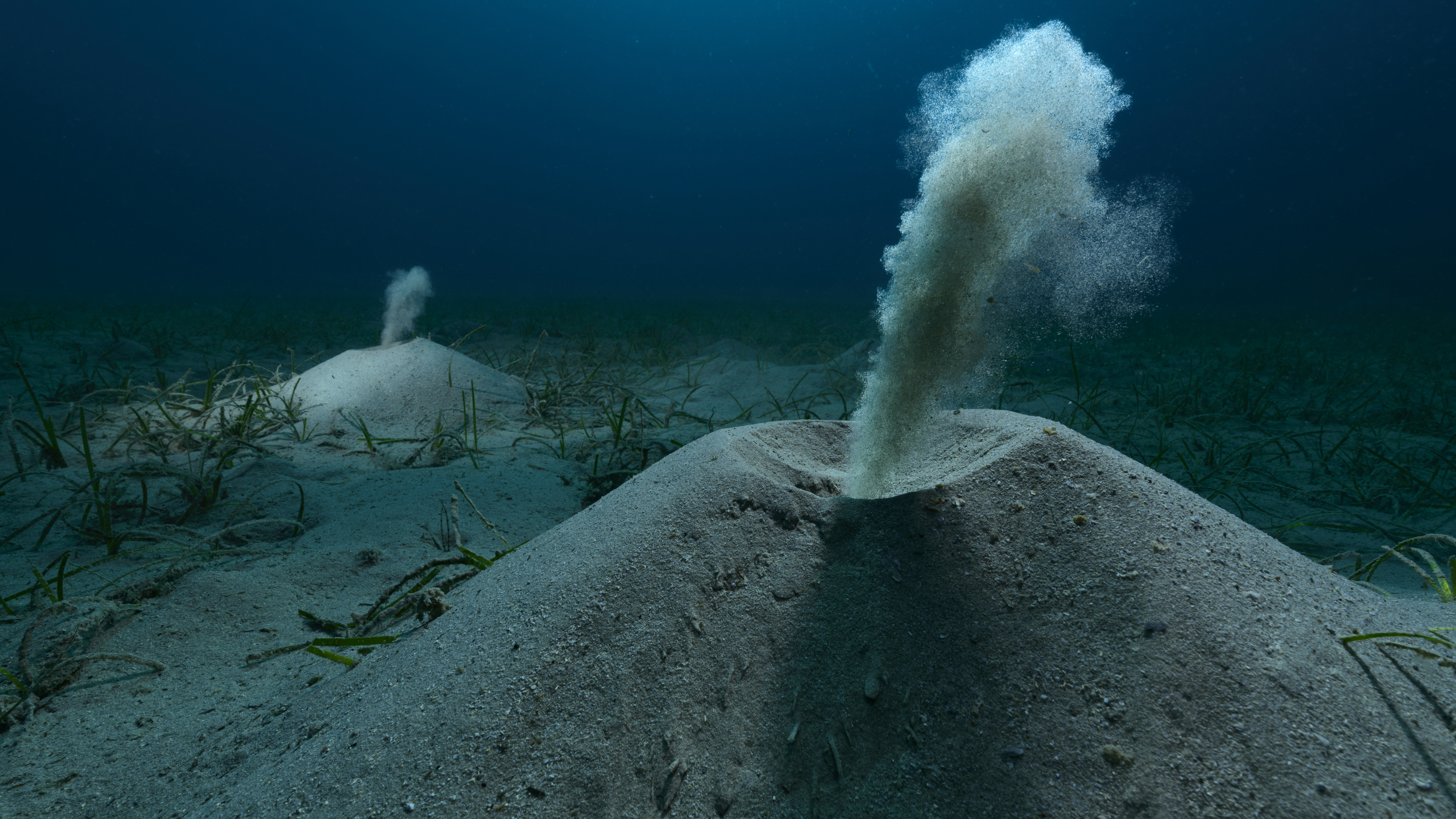 A winning image from the Environmental Photography Awards
