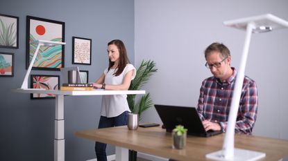 best standing desks: two people using sit-stand desks in an office