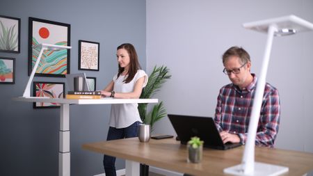 best standing desks: two people using sit-stand desks in an office