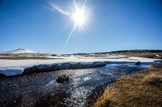 Argentinian white wines