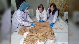 Conservators examine the 2,500-year-old leather scale armor found in a man's burial in northwestern China.