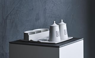 Kaizawa’s motifs were included on a series of white porcelain pieces
