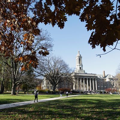 Tree, Leaf, Public space, Landmark, Woody plant, Deciduous, Park, Autumn, Lawn, Monument, 