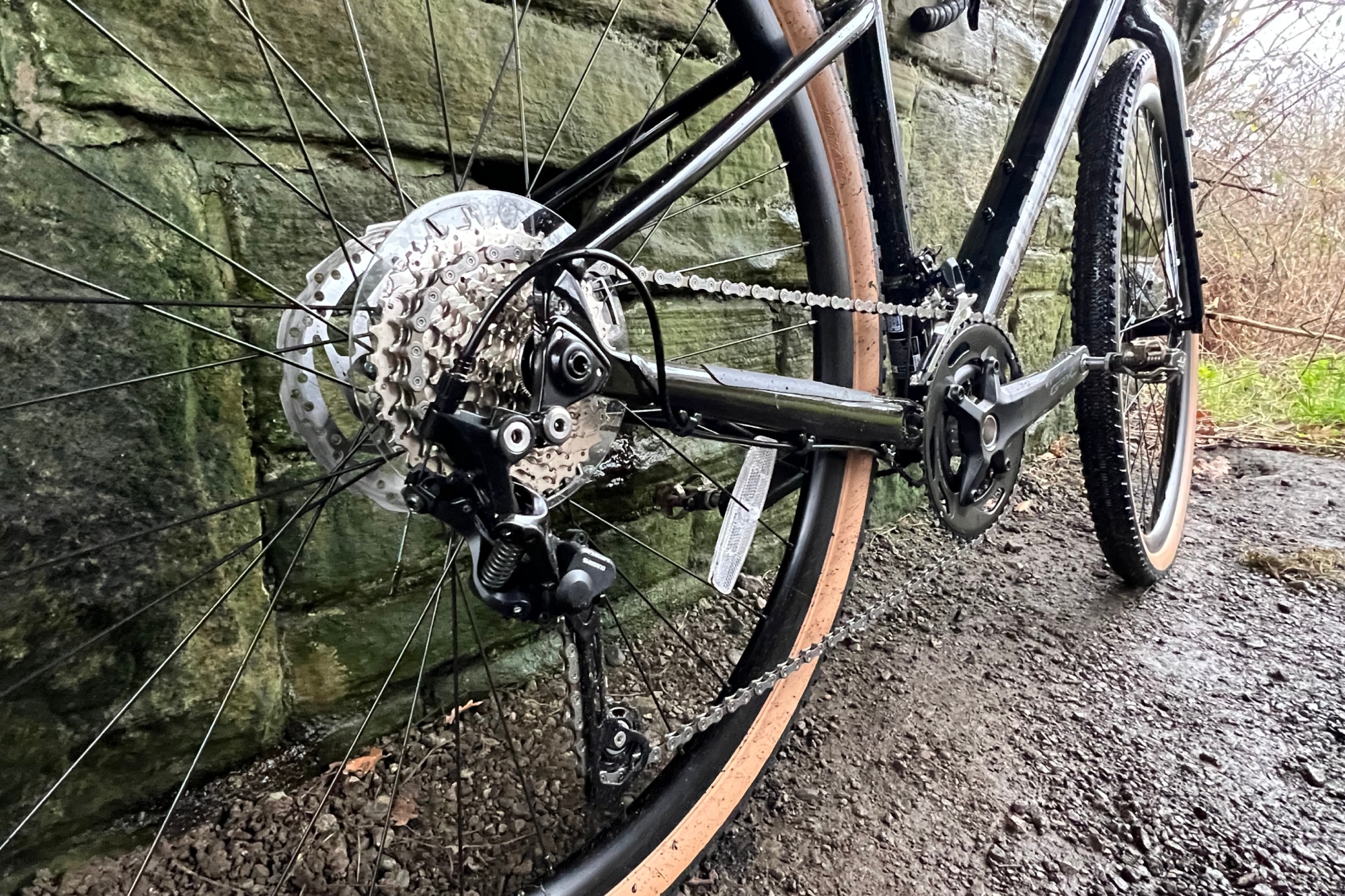 Whyte Tourus bike rear drive train seen close up