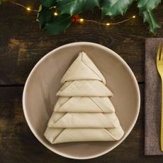 Napkin folded into Christmas tree shape