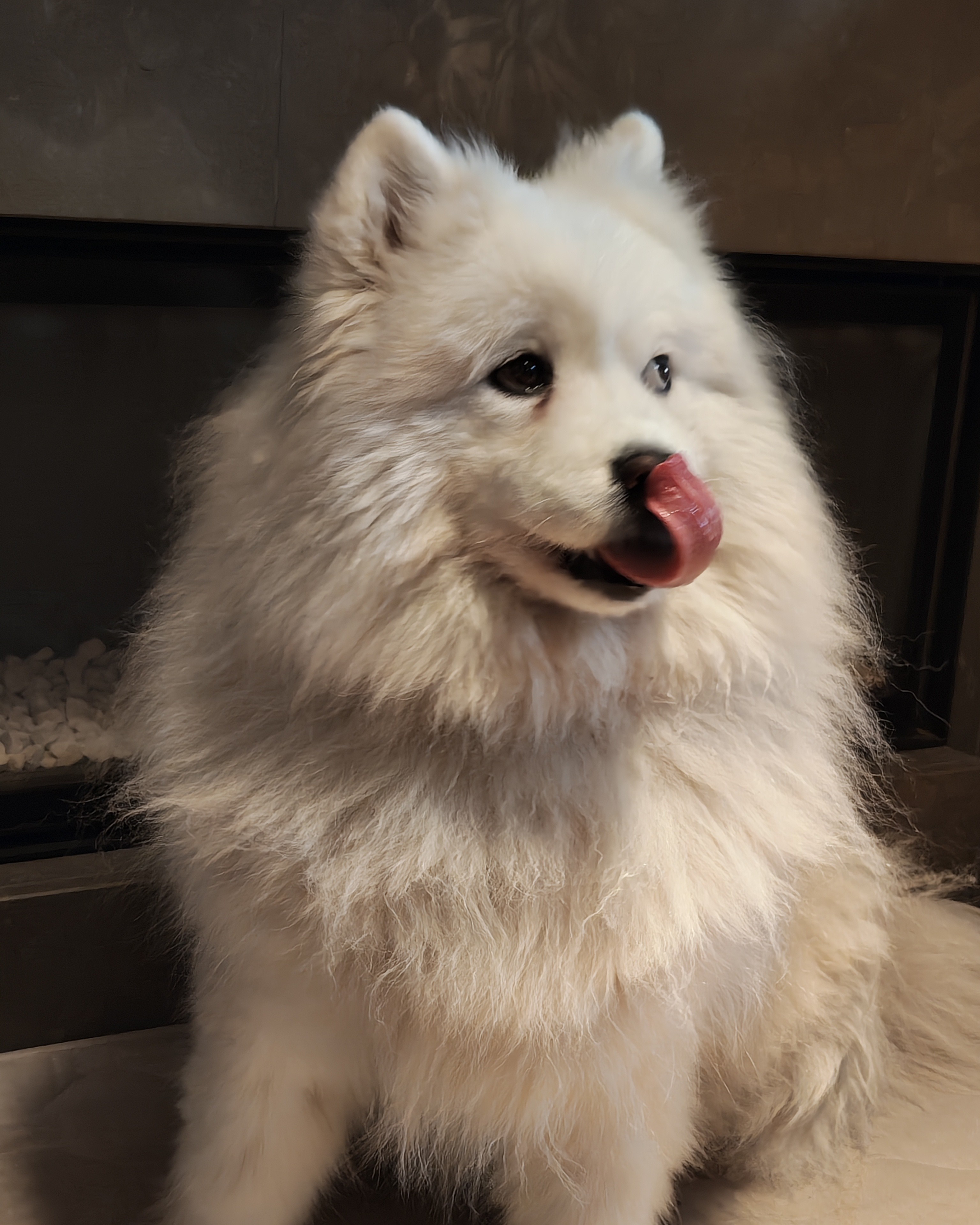 Nothing Phone (4a) Pro voorbeeldfoto