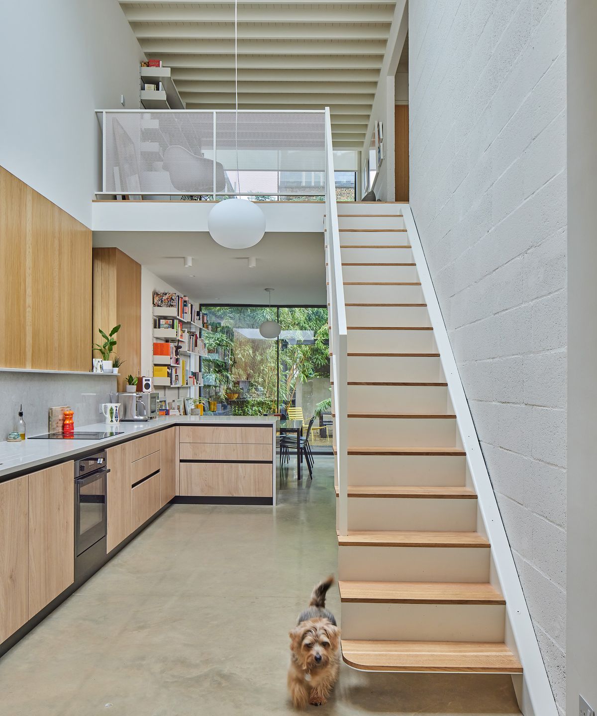 A view of a kitchen with stairs leading up to a mezzanine level. The interiors are light and airy with natural wood and polished concrete flooring. There is a small dog at the bottom of the stairs