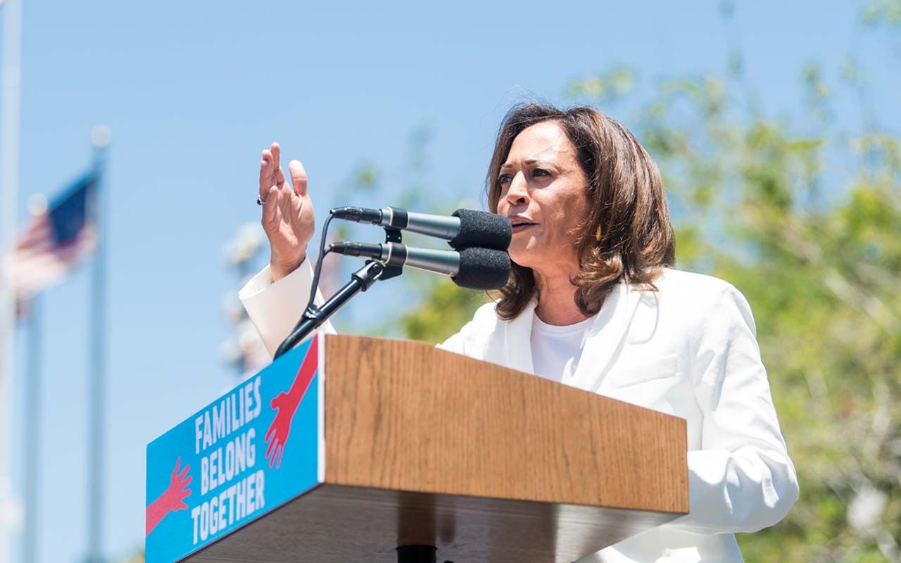 Kamala Harris talks at a lectern outside, with a tree and an American flag in the background.