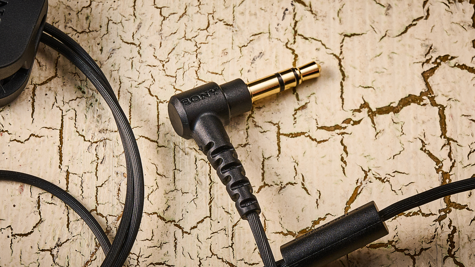 Sony IER-M500