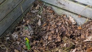 picture of dry wooden compost in box