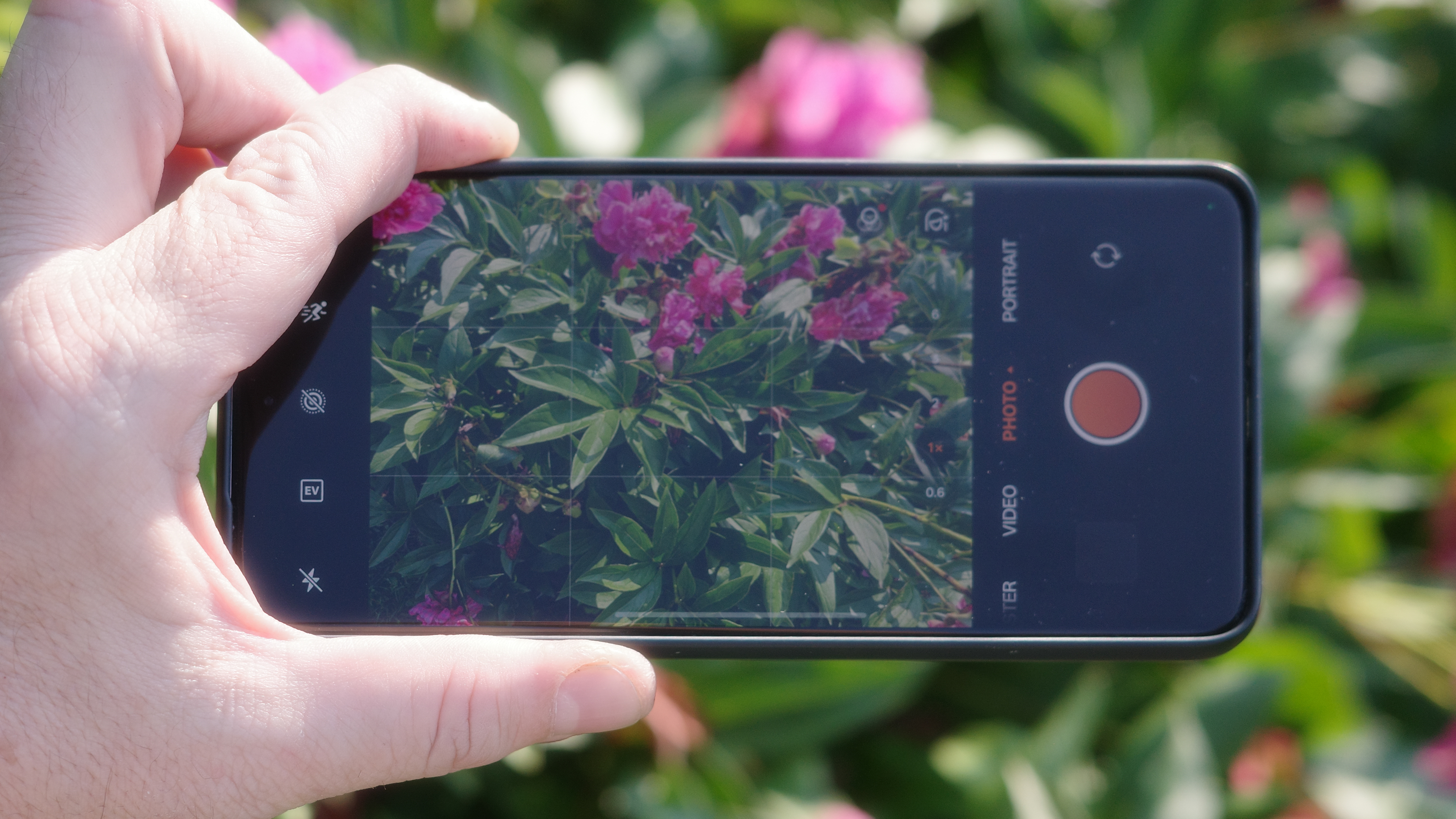 The best camera phones taking photos of red flowers in direct sunlight held individually and side by side