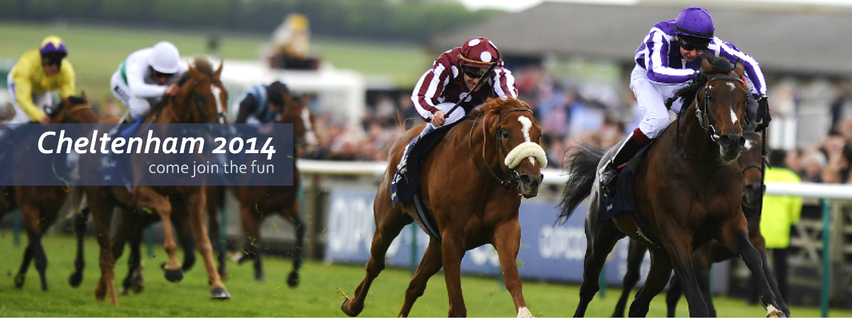 Cheltenham action