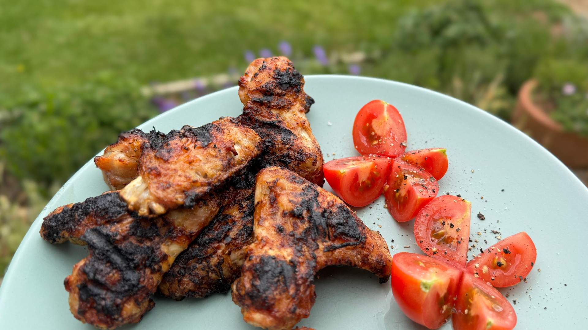 Weber Searwood XL food results