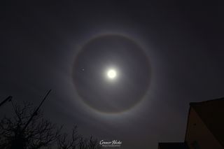 Night sky photographer Connor Hicks submitted this magnificent photo of a moon halo.