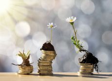 Plants growing out of a pile of money, symbolising a growing pension pot.
