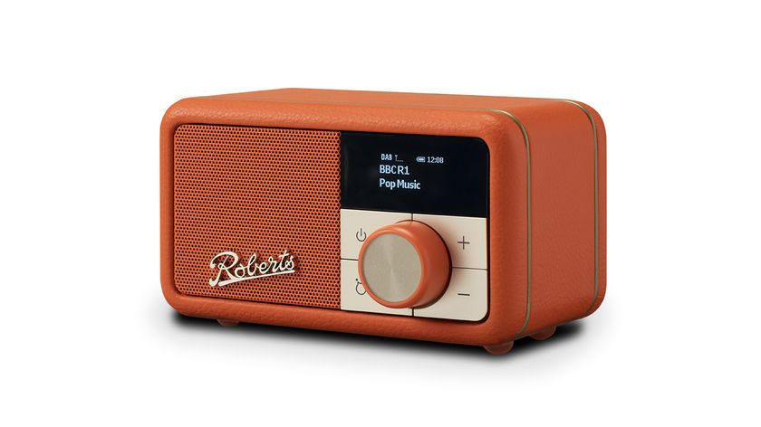 DAB radio: Roberts Revival Petite