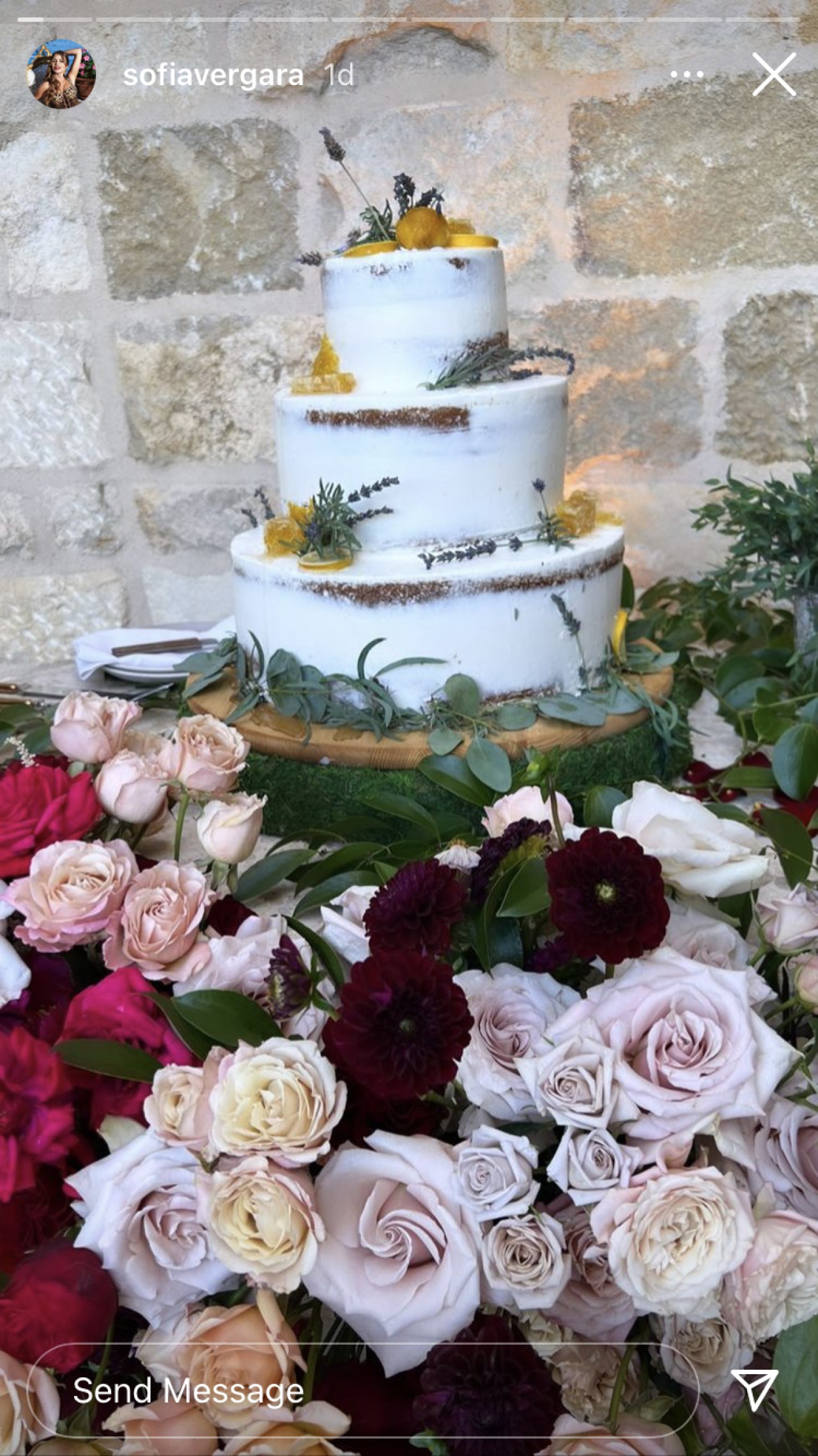 Sofia Vergara compartió una foto del pastel de bodas de Sarah Hyland y Wells Adams.