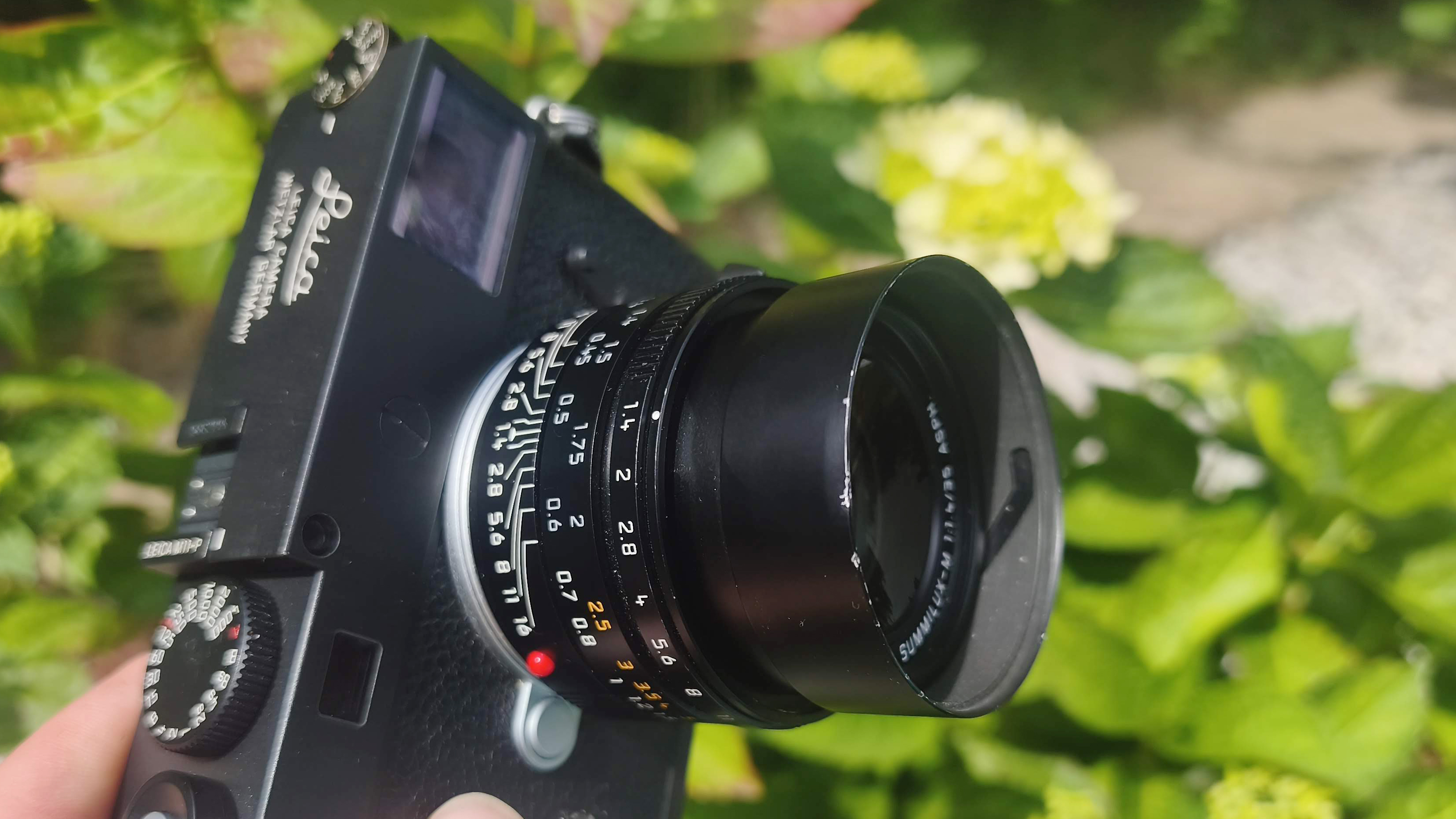 Leica 35mm Summilux-M f/1.4 ASPH.
