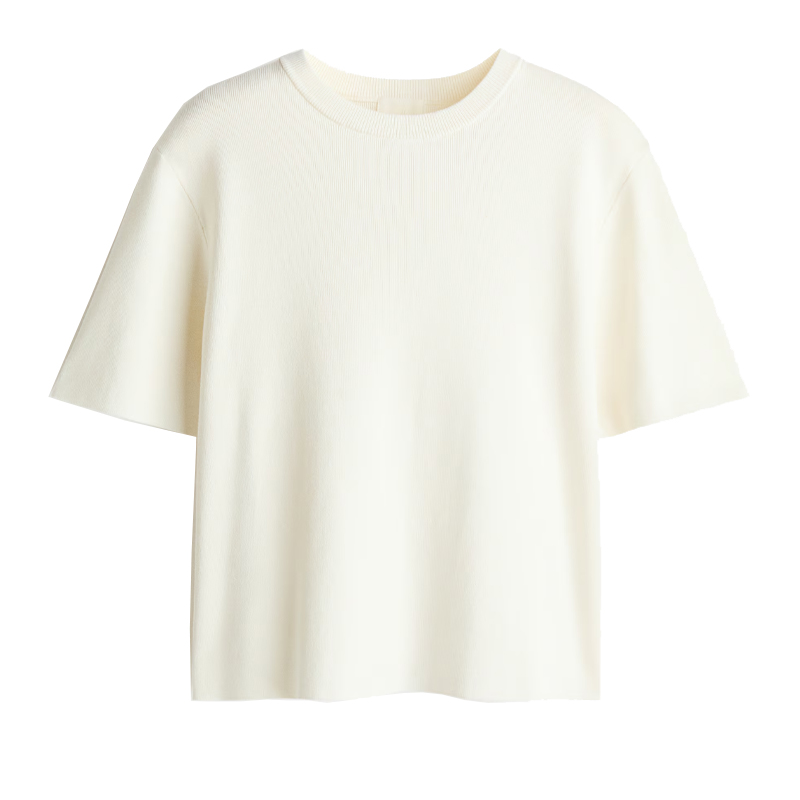 H&amp;amp;M fine knit short sleeve top