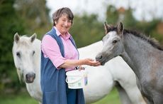 HENRIETTA_KNIGHT_AAA-6778.jpg