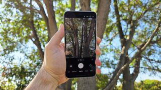 In-hand image of Samsung Galaxy A56 with camera app open and facing a large tree