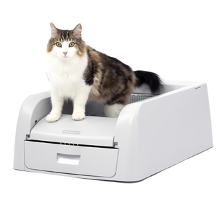 PetSafe ScoopFree Self-Cleaning Cat Litterbox