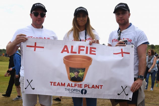 alfie plant