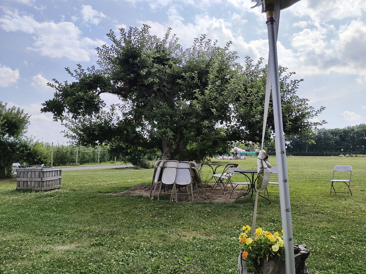 Motorola Razr Plus 2023 main camera sample.