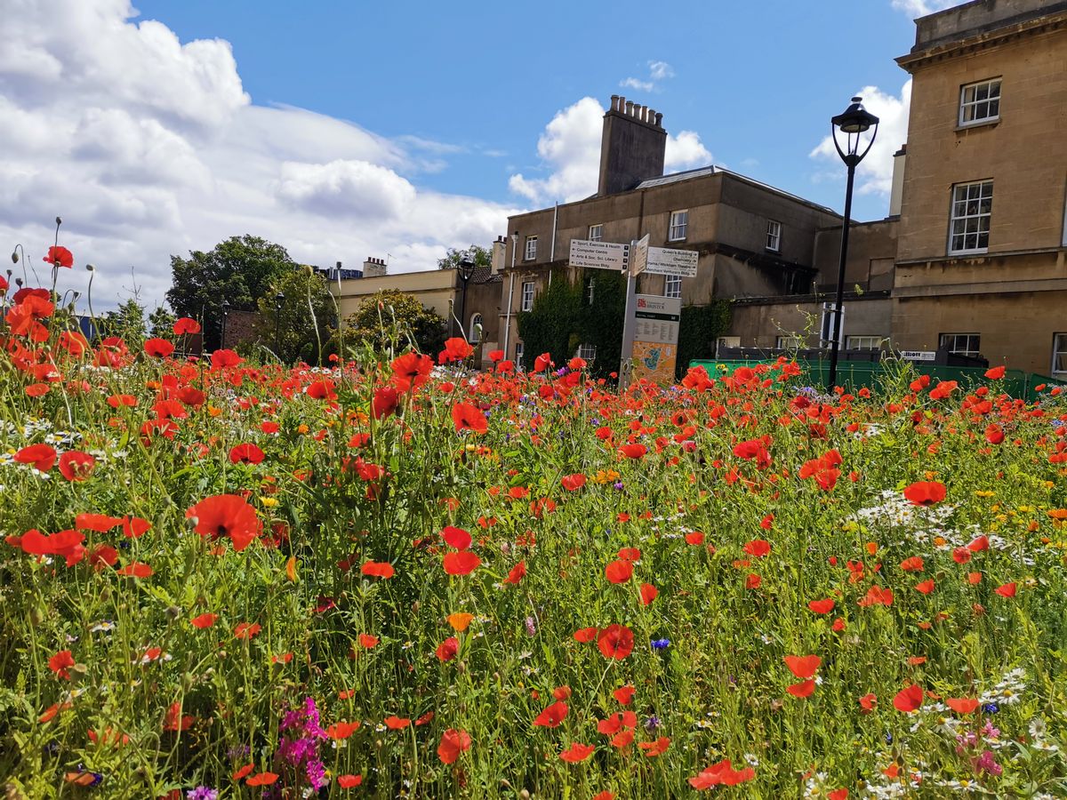 Again, AI mode ramps up the vibrancy. Image credit: TechRadar