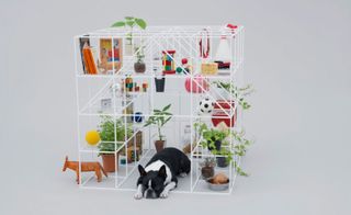 No Dog! No Life! by Sou Fujimoto