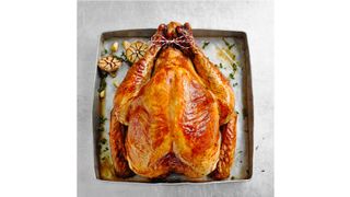 Medium Free Range Bronze Feathered Turkey