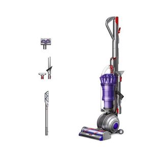 Dyson animal 2