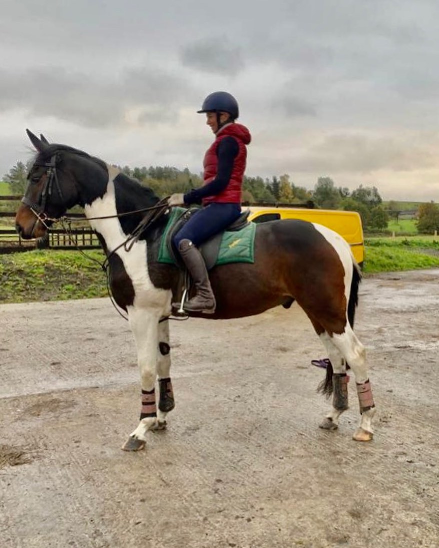 New show horses 2021 season