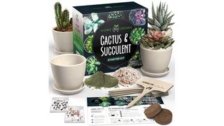 best cactus growing kit