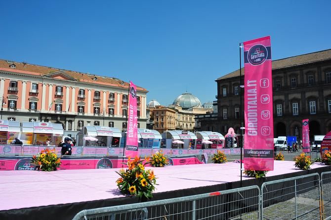 The rosa carpet