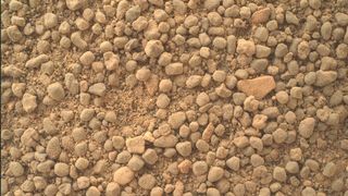 Pebbles scattered on the surface of Mars' Jezero Crater photographed by NASA's Perseverance rover.