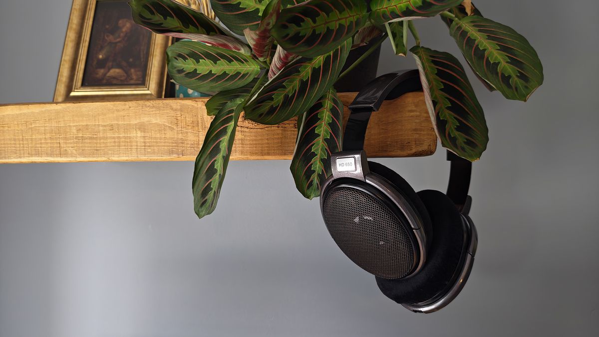 ヘッドホン SENNHEISER HD650 Goldrn Era SENNHEISER HD650（Golden Era？） 【公式通販】