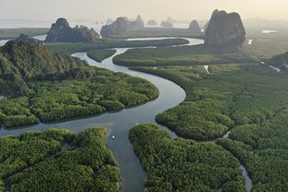 Why rainforests are important: An aerial shot of a rainforest and river