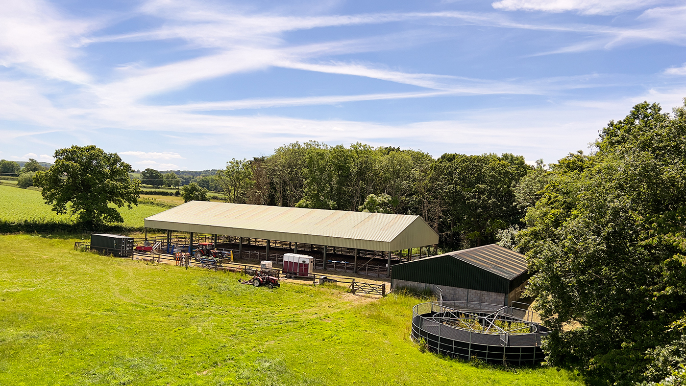 West Greylake - buildings and horse walker