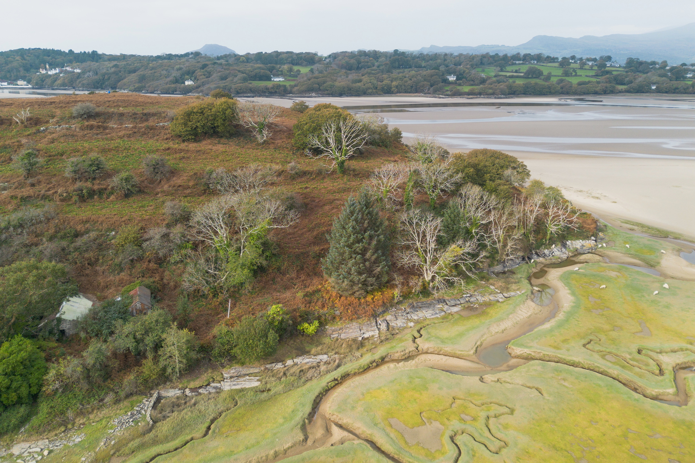 The barely inhabited welsh island of Ynys Gifftan, overgrown and lush