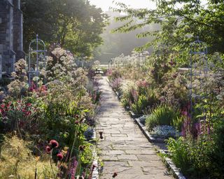 A garden path with ornamental grasses and wild flowers on either side