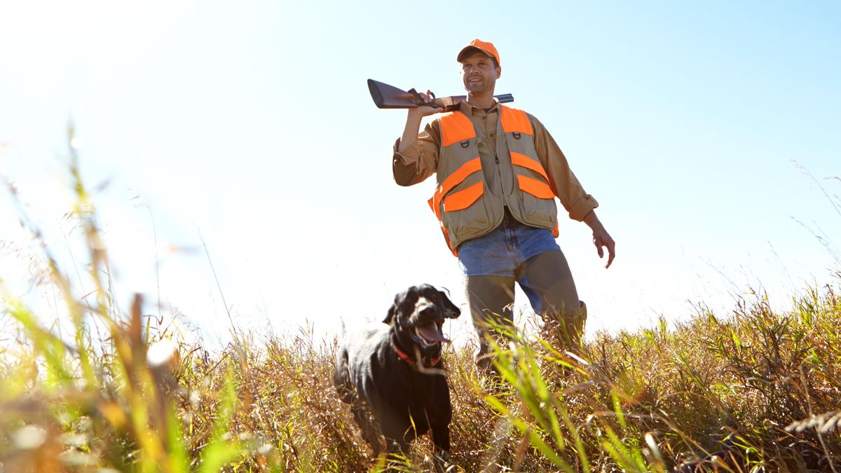 Hunter wearing orange-accented jacket, walking with dog