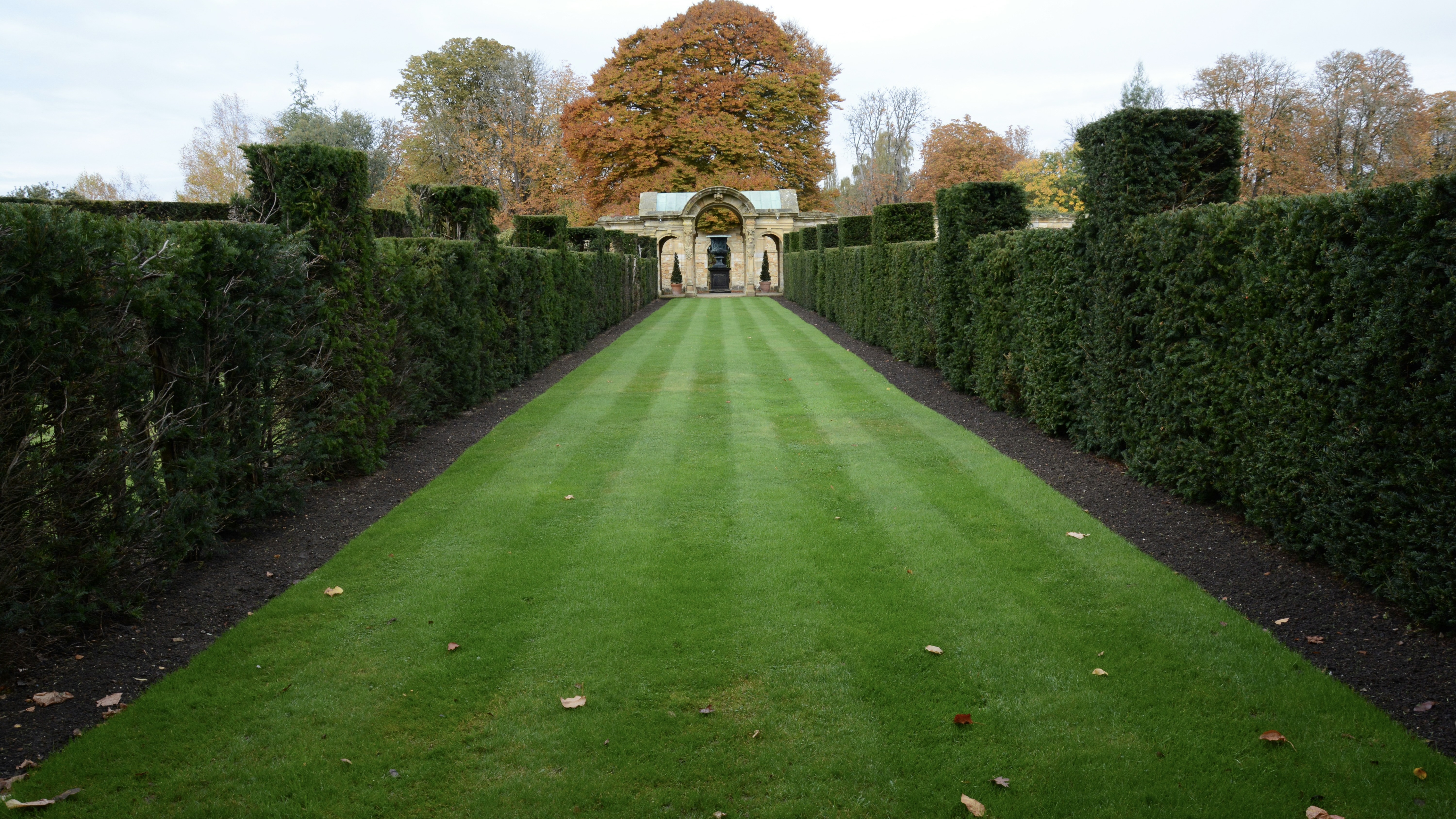 lawn stripe in garden
