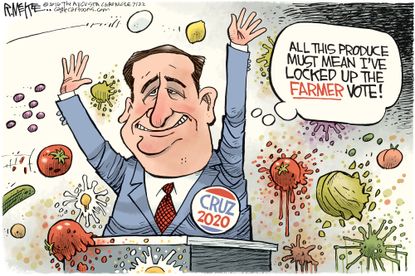 Political cartoon U.S. Cruz and produce