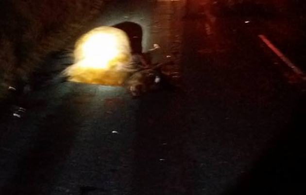 dartmoor accident 2