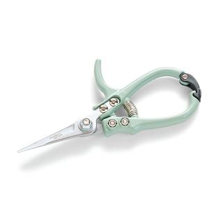 Modern Sprout Pruning Shears for Gardening, Herb Snips, Flower Cutting Scissors, Indoor Plant Shears, Lightweight, Ergonomic, Carbon Steel Blade, Easy-Lock Safety-Catch, Aesthetic, Green, Micro-Tip