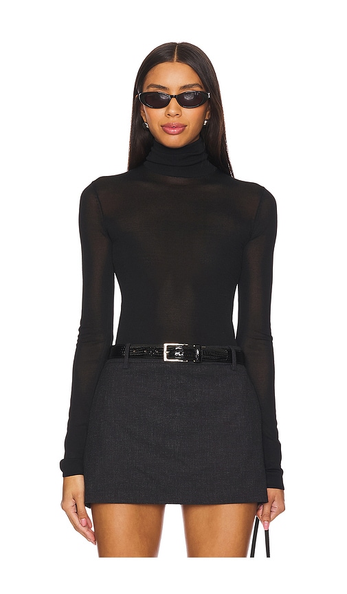 Alexander Sheer Turtleneck Sweater