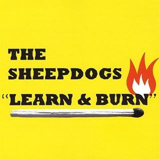 Learn & Burn — The Sheepdogs