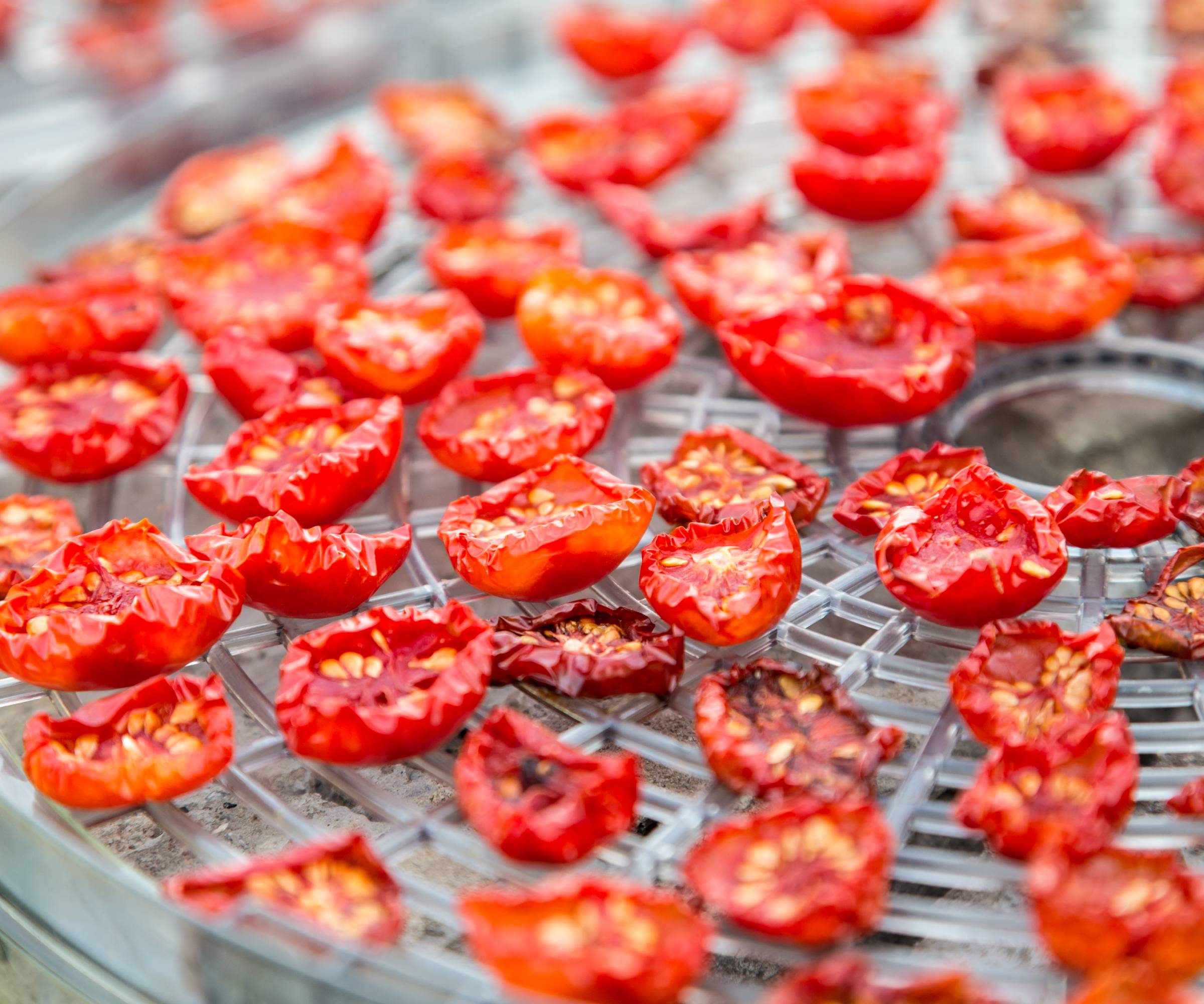 Dried cherry tomatoes in a food dehydrator