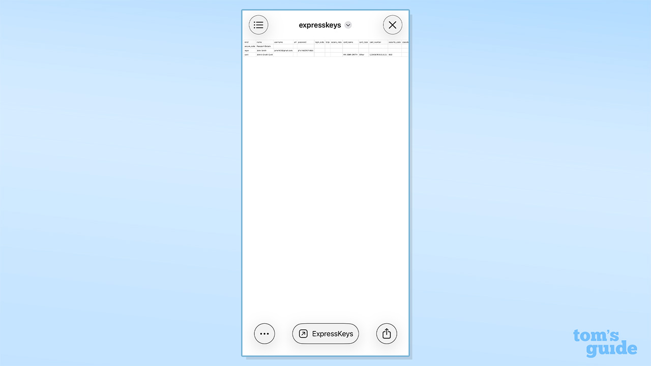 عکس صفحه داده های صادر شده از ExpressKeys موبایل